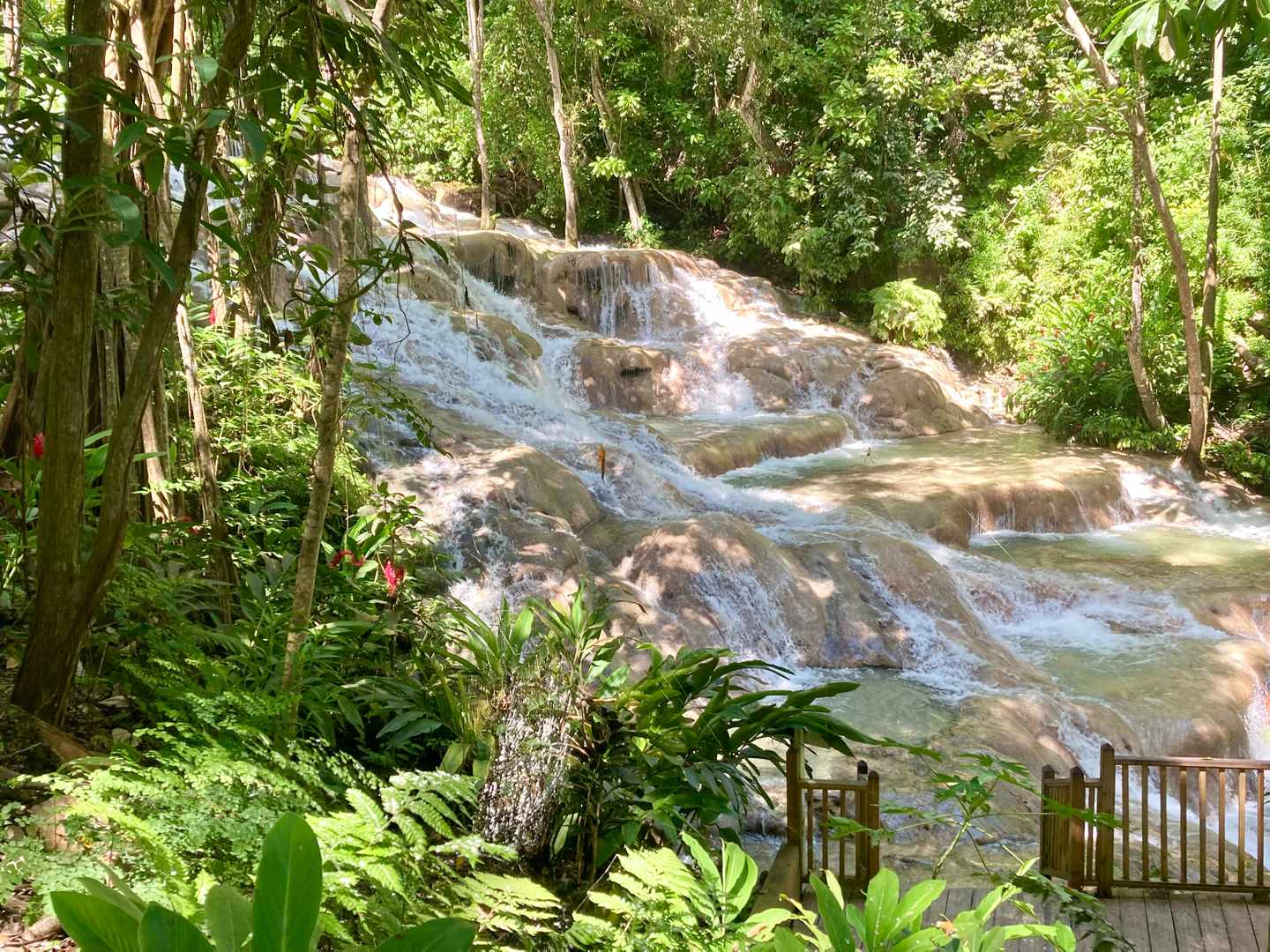 Jamaika-Dunns-River-fall-g-1418996148_bearbeitet.jpg