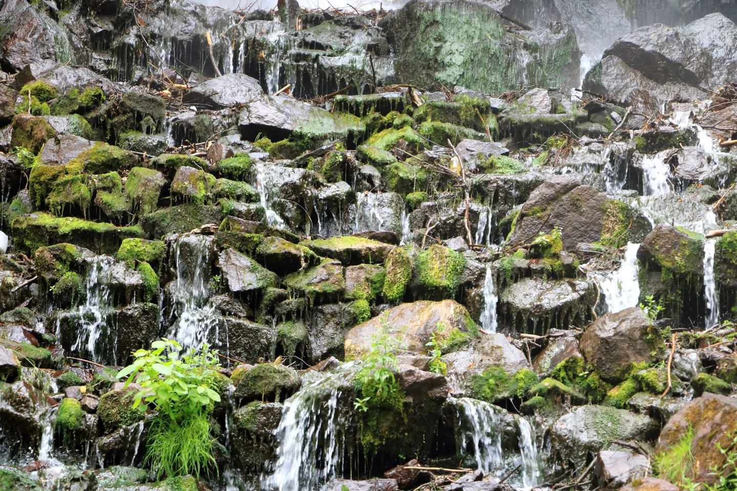 blt2e15c6d8801d5422-deutschland-thueringer-wald-trusetaler-wasserfall-fotospots-deutschland-g-1174805871.jpg Nasser Fotospot: der Trusetaler Wasserfall