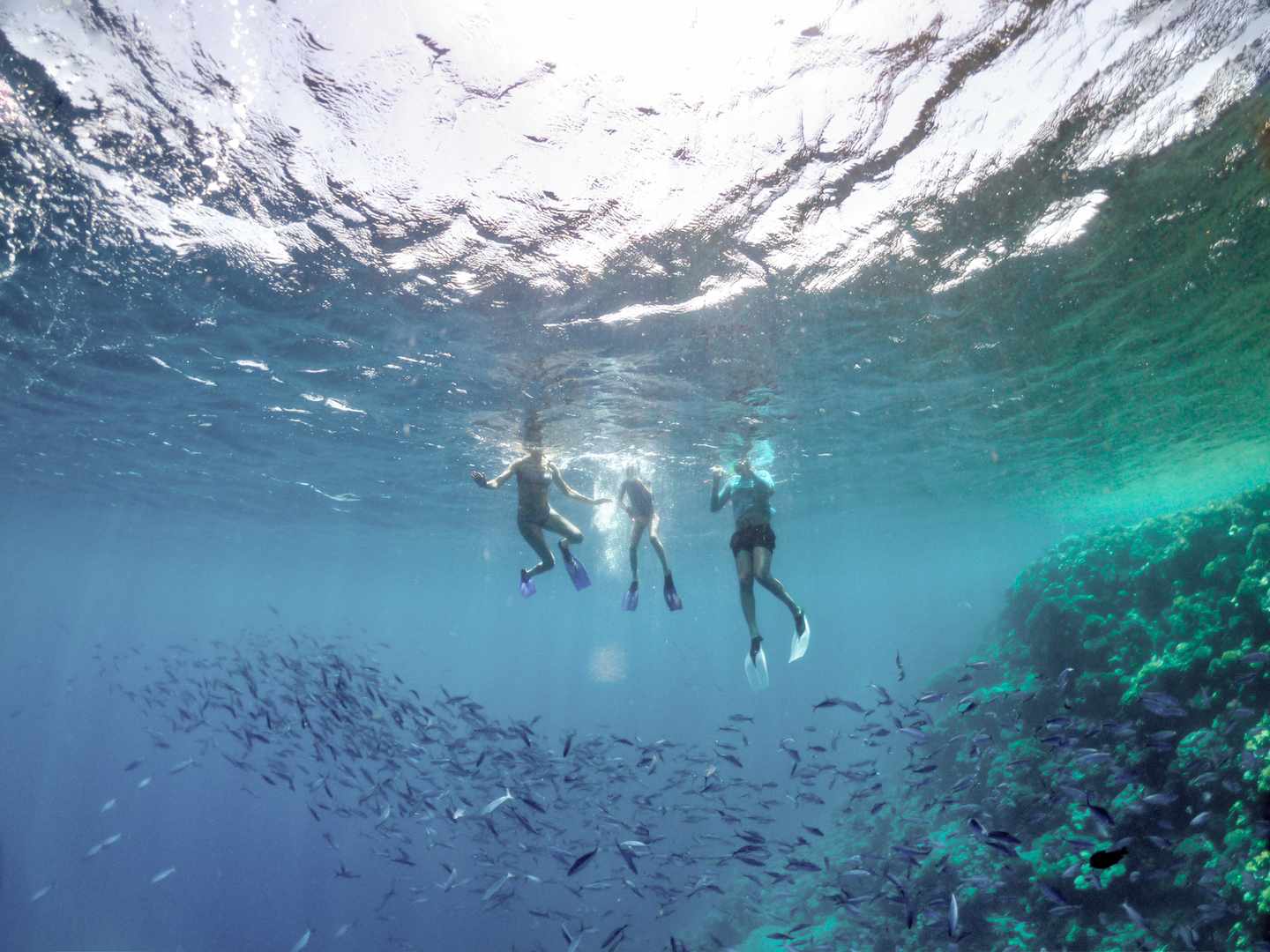 Schnorcheln im Roten Meer
